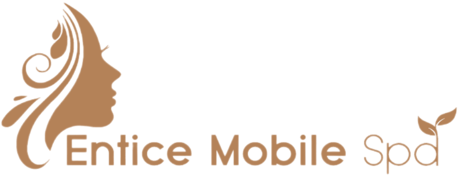Entice Mobile Spa logo